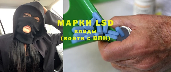 ГАЛЛЮЦИНОГЕННЫЕ ГРИБЫ Аркадак
