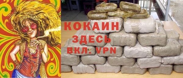 ГАЛЛЮЦИНОГЕННЫЕ ГРИБЫ Аркадак