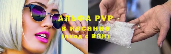 ГАЛЛЮЦИНОГЕННЫЕ ГРИБЫ Аркадак