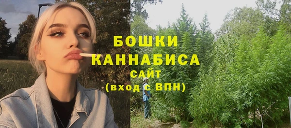ГАЛЛЮЦИНОГЕННЫЕ ГРИБЫ Аркадак