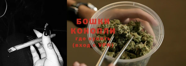 тгк Пересвет