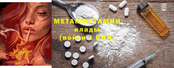 ГАЛЛЮЦИНОГЕННЫЕ ГРИБЫ Аркадак