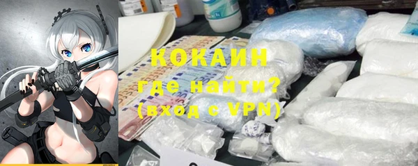 ГАЛЛЮЦИНОГЕННЫЕ ГРИБЫ Аркадак